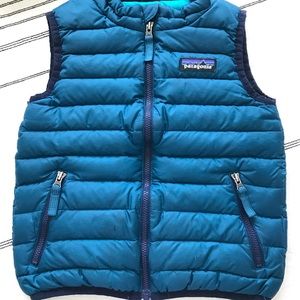 Patagonia down sweater vest